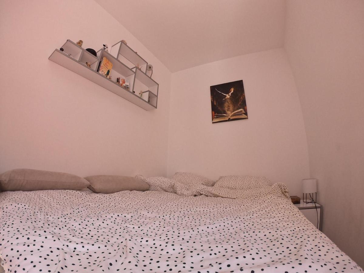 Apartmani K&V Veliko Gradiste Luaran gambar
